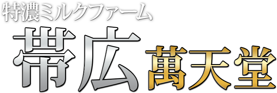 帯広の女性用風俗・性感マッサージは【帯広萬天堂】