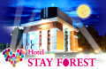 HOTEL STAY FOREST