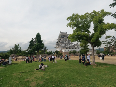 6365
