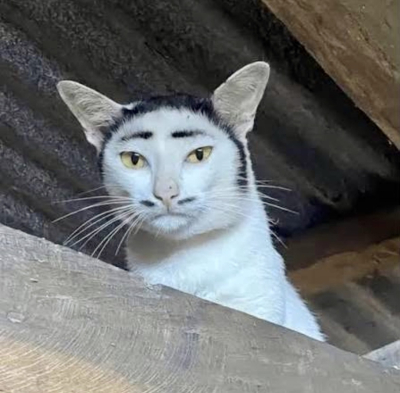 7144