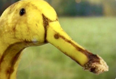 7144