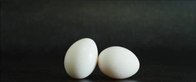 7519