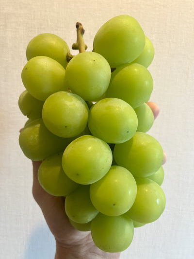 7654