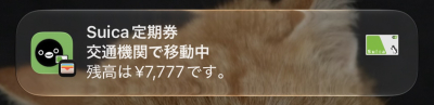 7667