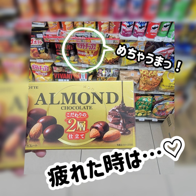 やまと