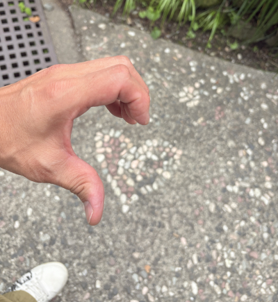 8090