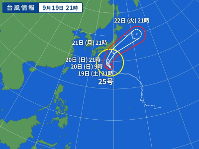 8202