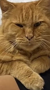 8218