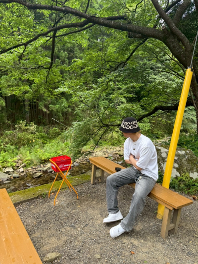 蓮