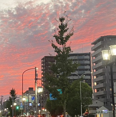 晴助